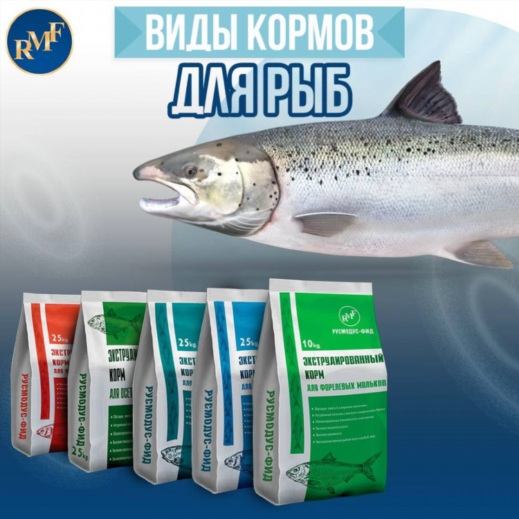 Прикормка для форели купить