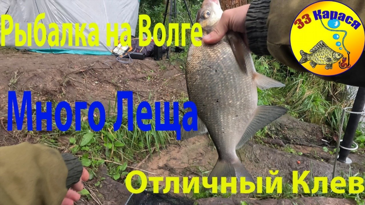 Видео рыбалка 2024